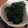 ﾌﾞﾚﾝﾀﾞ's cooksnap of when they made 超簡単！ほうれん草のお浸し.