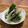 sayokoさん's cooksnap of when they made もやしとほうれん草の塩コンブナムル.