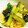 041329's cooksnap of when they made 小松菜と薄揚げの煮びたし.