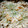 RIKOTORA's cooksnap of when they made 簡単エビピラフ.