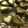 BACKN's cooksnap of when they made マドレーヌ*Maccha～抹茶.