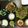 Quro38's cooksnap of when they made かつおポン酢.