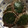 こうたん4's cooksnap of when they made ★絶品★いわしのさんが焼き.