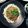 noranek0's cooksnap of when they made 絶品！マグロのなめろう！.