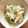 むっちまみー's cooksnap of when they made とろウマ！大根の中華炒め.