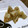 クック62VYSB☆'s cooksnap of when they made かつおぶし風味のれんこんのきんぴら.