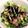 caruga's cooksnap of when they made ごまが香る！アボカドと水菜のネギトロ丼.