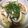 クックOIYYWA☆'s cooksnap of when they made ☆イカとたらこのスパゲッティーニ☆.