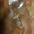 やーしー's cooksnap of when they made ササミの西京焼き.