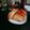 クックRX7PNZ☆'s cooksnap of when they made イタリアン揚げ餃子.