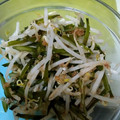 ☆まみーゆ☆'s cooksnap of when they made ☆茎わかめともやしの和えもの☆.