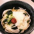 ぴぉたん's cooksnap of when they made 梅＆おろし★絶品簡単うどん.