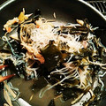 クックBNQ5PD☆'s cooksnap of when they made 簡単ヘルシー！ワカメとエノキの炒めもの.