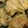 クック3U8TKY☆'s cooksnap of when they made 簡単すぎっ！鶏肉のマスタードソース.