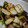 trump1129's cooksnap of when they made ☆ねぎま炒め☆塩コショーだけで超簡単.