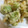 marriott's cooksnap of when they made ふきのとうの天ぷら.