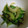 rikihaha's cooksnap of when they made 葉っぱごとセロリと塩昆布の和え物.