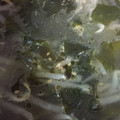 クック0NCLXO☆'s cooksnap of when they made ピンチを乗りきれ！もやしとワカメのスープ.