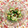 なつき☆ミ's cooksnap of when they made 簡単！さっぱり♡梅和え♪.