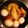 碧海たん。's cooksnap of when they made 鶏手羽先とにんにくの煮物.