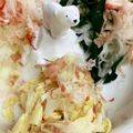 みっくママ's cooksnap of when they made キャベツとおかかのわさび醤油あえ.
