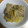 もりのりころ's cooksnap of when they made 手作り焼肉のたれで！豚肉と野菜の炒め物.