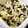 ねぞろ's cooksnap of when they made ＊レンジで簡単♪もやし達のクタクタ煮＊.