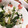 あたむ❤189's cooksnap of when they made 菜の花としらすのまぜごはん.