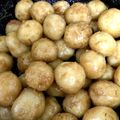 さゆひかほれ's cooksnap of when they made みそかんぷら.