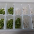 しもきゅう's cooksnap of when they made 離乳食初期▷ブロッコリーのペースト.