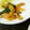 かぴはん's cooksnap of when they made 大根と油揚げのきんぴら★.