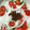 ouentai's cooksnap of when they made 新玉ねぎとトマトのアンチョビ和え！.