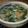 ちせfairy's cooksnap of when they made カルシウム野菜たっぷりにぼし鍋@ゲスト.