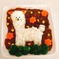 クックCM365J☆'s cooksnap of when they made アルパカレー.｡.:*゜☆.