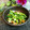 Dellaたん's cooksnap of when they made ピーマンと揚げ玉.