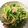 sakin15's cooksnap of when they made 豆苗とツナの即席あえ.