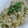 気まぐれ料理人☆楓☆'s cooksnap of when they made 梅とじゃこの焼き飯.