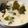 こびぃ。's cooksnap of when they made 貧乏ちまみ☆あまったみそ汁で茶碗蒸し.