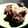 rairamama's cooksnap of when they made 節約料理！まぐろ血合いの竜田揚げ.