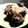 rairamama's cooksnap of when they made 節約料理！まぐろ血合いの竜田揚げ.