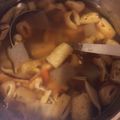 クック8S09BZ☆'s cooksnap of when they made キノコたっぷり☆すいとん☆醤油ベース.