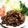 KUMI KUMI's cooksnap of when they made ✿牛肉＠辛みそ炒め✿簡単自宅中華風✿.