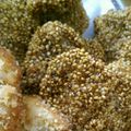 ともみつ３２６'s cooksnap of when they made 簡単♫お弁当にも♫ささみフライの3色衣☆.