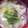 ellie21's cooksnap of when they made 白菜と豚のトロッとスープ.