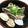 ゆーちゃん？'s cooksnap of when they made アサリの酒蒸し.
