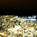 ニノにの's cooksnap of when they made 簡単☺我が家の切り昆布の胡麻胡麻炒め.