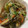 クックXWLYVC☆'s cooksnap of when they made あさりの酒蒸し(50℃砂抜きはしない！).