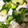 サヨゲ's cooksnap of when they made ➏　白ネギと豆腐の炒め物　➏.