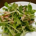 せつせつせつ's cooksnap of when they made 豆苗とツナ缶のシャキシャキサラダ.