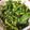 クック26352G☆'s cooksnap of when they made しらすとかぶの葉の塩昆布炒め☆.